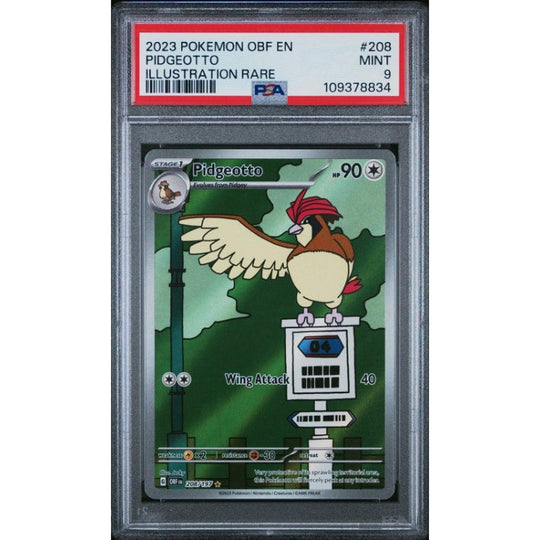2023 POKEMON OBF EN-OBSIDIAN FLAMES ILLUSTRATION RARE #208 PIDGEOTTO