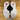 Jordan 9 Retro OG Space Jam (2026) (GS) Size 6.5Y (Pre-Owned)